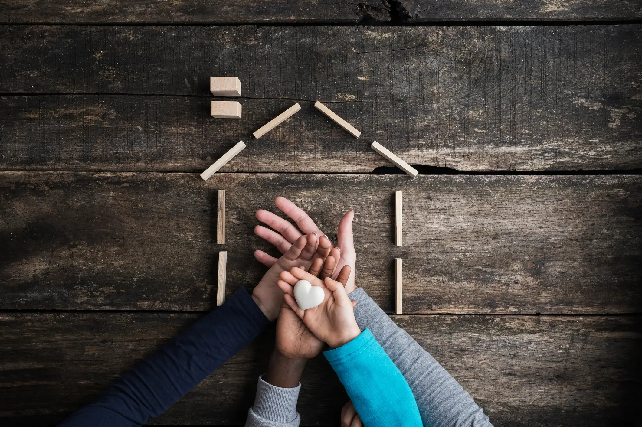 Case Study: Social Services Nonprofit